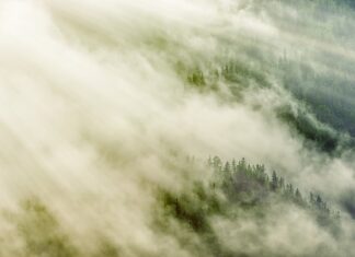 Jaki kąt nachylenia drabiny? Jaki kąt nachylenia drabiny?