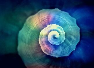 Jak prawidłowo skręcać w lewo na skrzyżowaniu? Jak prawidłowo skręcać w lewo na skrzyżowaniu?