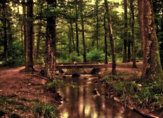 Jak zamontować lustro w drzwiach przesuwnych?