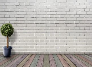 Czy doniczka do storczyka musi mieć dziurki? Czy doniczka do storczyka musi mieć dziurki?