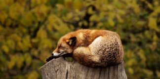 Co przeszkadza w spaniu?