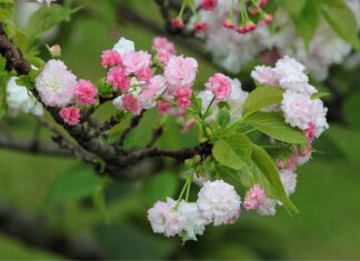 Jaka jest żywotność styropianu?