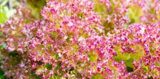 W jakiej pościeli najlepiej się śpi?