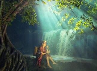 Jak wygląda strój pszczelarza? Jak wygląda strój pszczelarza?