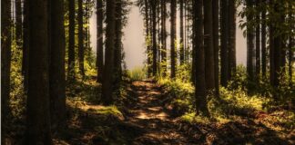 Jak kiedyś nagrywano muzykę?