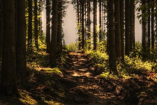 Jak kiedyś nagrywano muzykę? Jak kiedyś nagrywano muzykę?