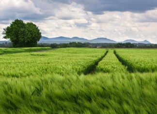 Jaki powinien być rozstaw wózków do bramy przesuwnej? Jaki powinien być rozstaw wózków do bramy przesuwnej?