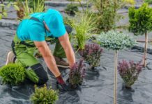 układanie agrowlokniny