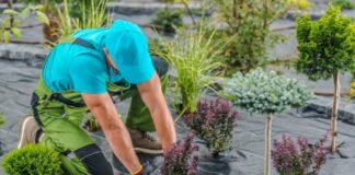 układanie agrowlokniny