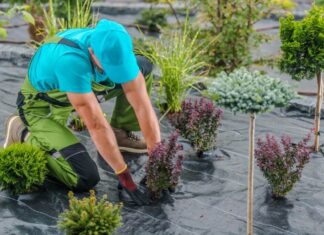 układanie agrowlokniny