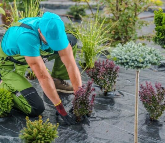 układanie agrowlokniny